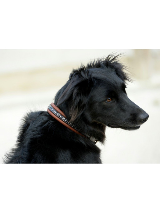 Collier pour chien cuir Point Sellier Pénélope Collier pour chien cuir Point Sellier Pénélope