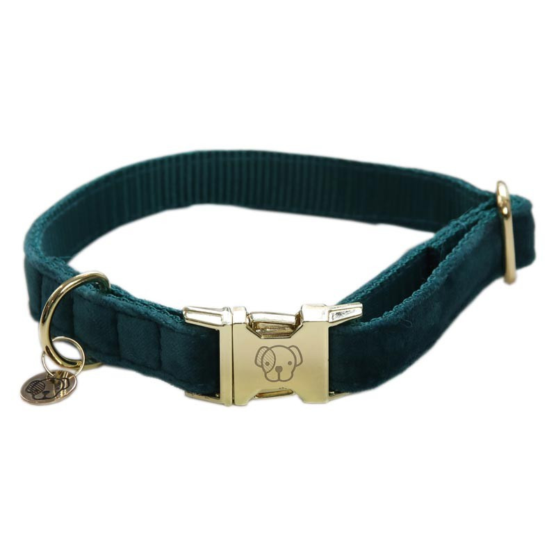 Collier chien velour Velvet Kentucky