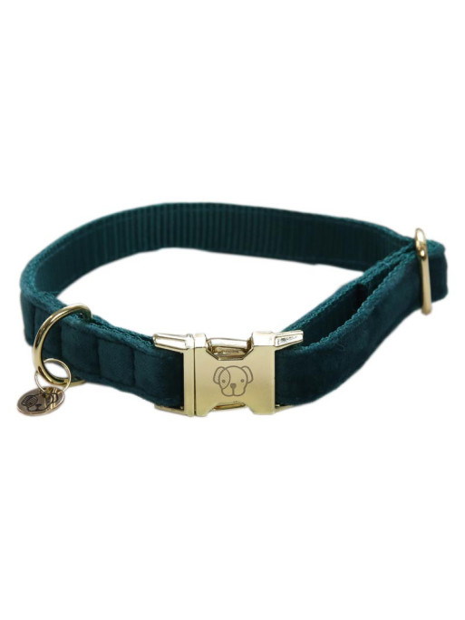 Collier chien velour Velvet Kentucky