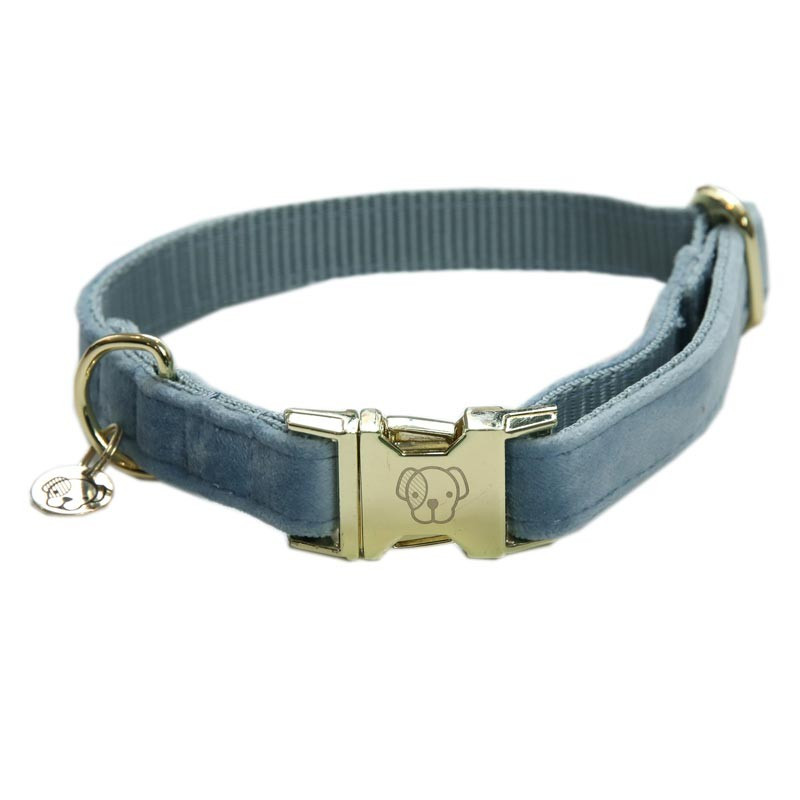 Collier chien velour Velvet Kentucky