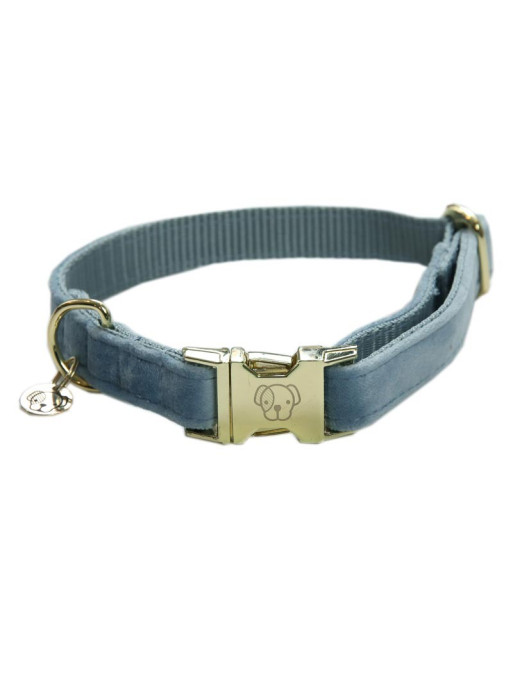 Collier chien velour Velvet Kentucky