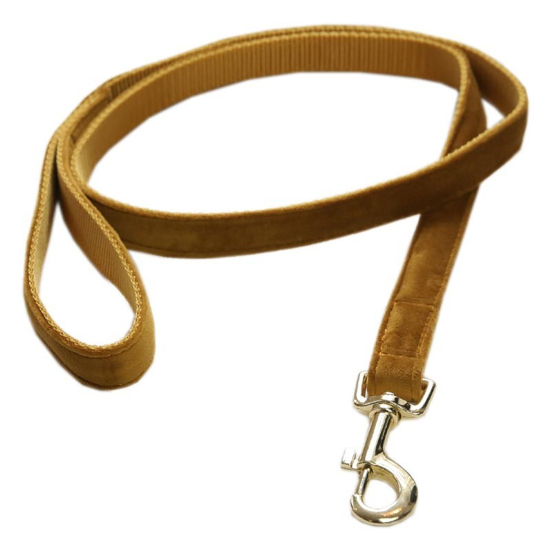 Laisse Velvet Velour Kentucky