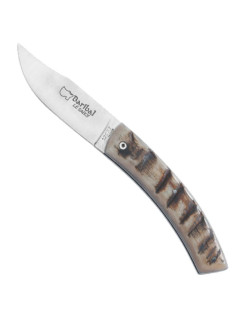 Couteau Baribal Corne Belier Le Sabot