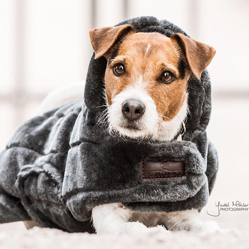 Couverture chien Fake Fur Kentucky