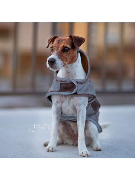 Couverture chien Réfléchissante Imperméable Kentucky