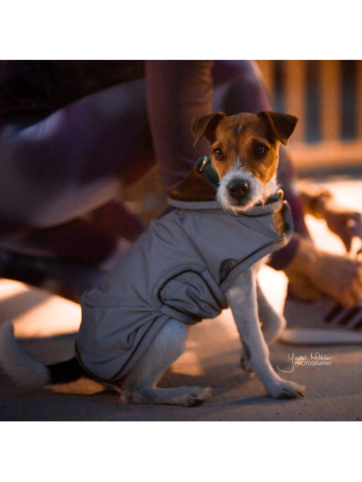 Couverture chien Réfléchissante Imperméable Kentucky