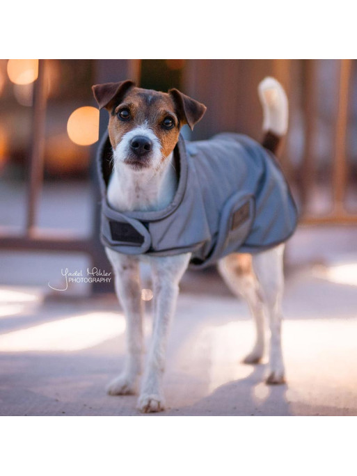 Couverture chien Réfléchissante Imperméable Kentucky