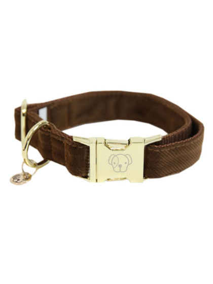 Collier de chien Corduroy Kentucky