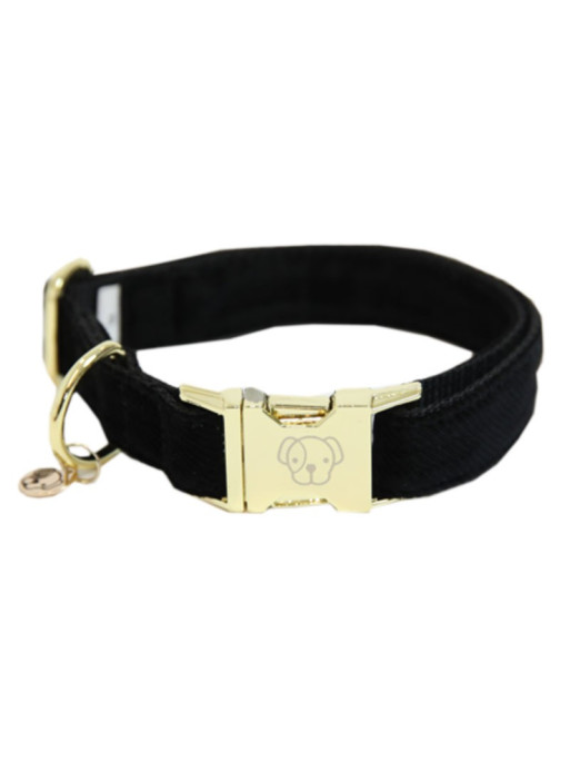 Collier de chien Corduroy Kentucky