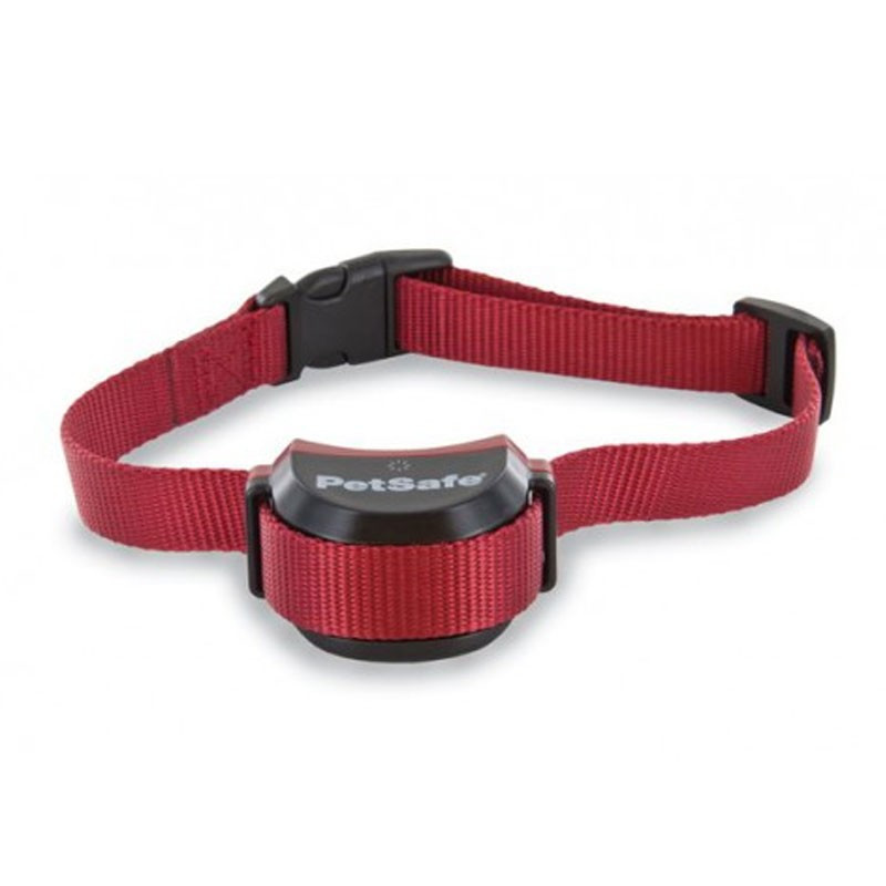 Collier anti-fugue chien Stay and Play Petsafe (15 à 71cm)