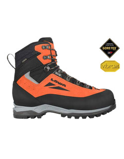 Chaussure Cevedale Evo GTX