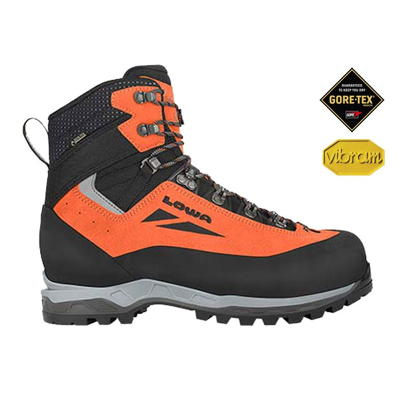 Chaussure Cevedale Evo GTX