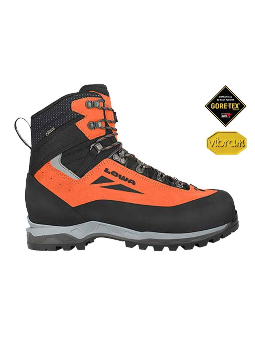 Chaussure Cevedale Evo GTX