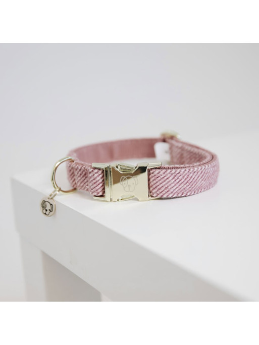 Collier pour chien wool Kentucky Collier pour chien wool Kentucky