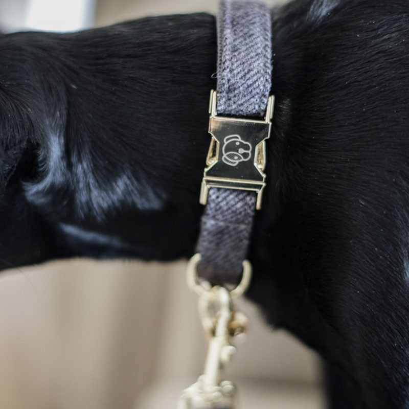 Collier pour chien wool Kentucky