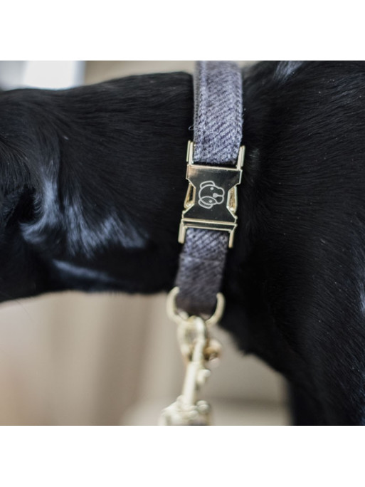 Collier pour chien wool Kentucky