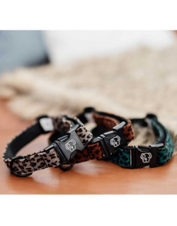 Collier pour chien Léopard Kentucky