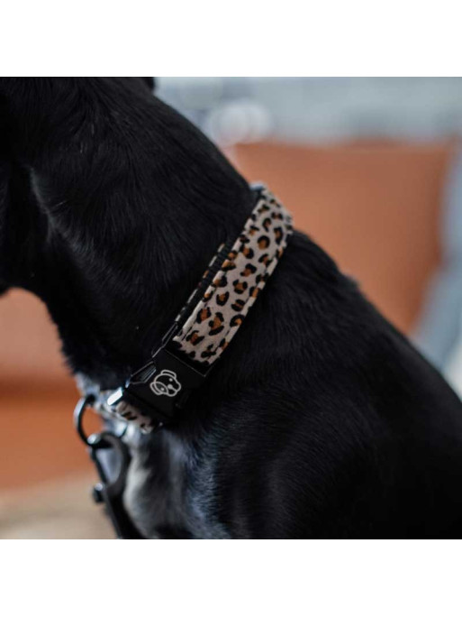 Collier pour chien Léopard Kentucky