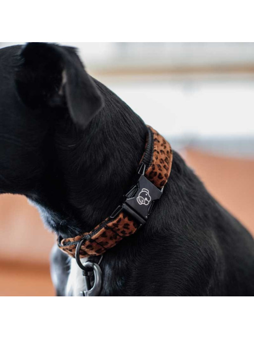 Collier pour chien Léopard Kentucky