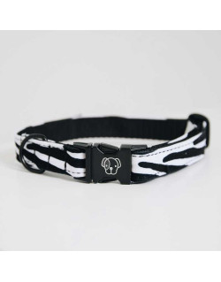 Collier pour chien Zebra Kentucky