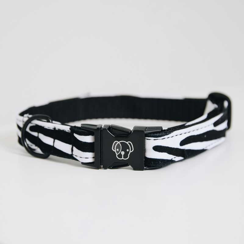 Collier pour chien Zebra Kentucky