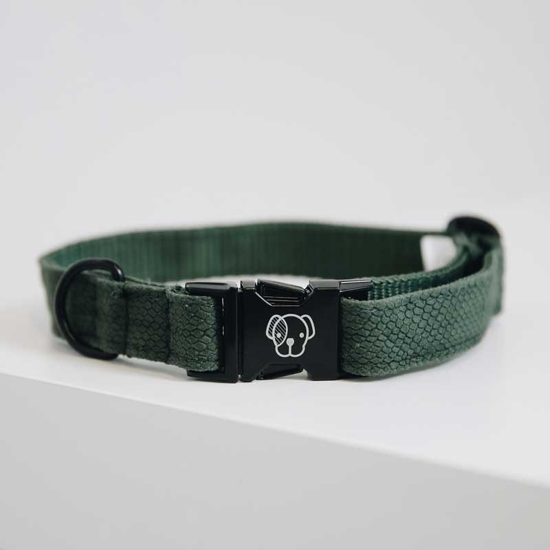 Collier pour chien Lizard Kentucky