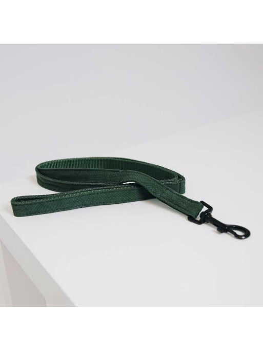 Laisse Lizard Kentucky