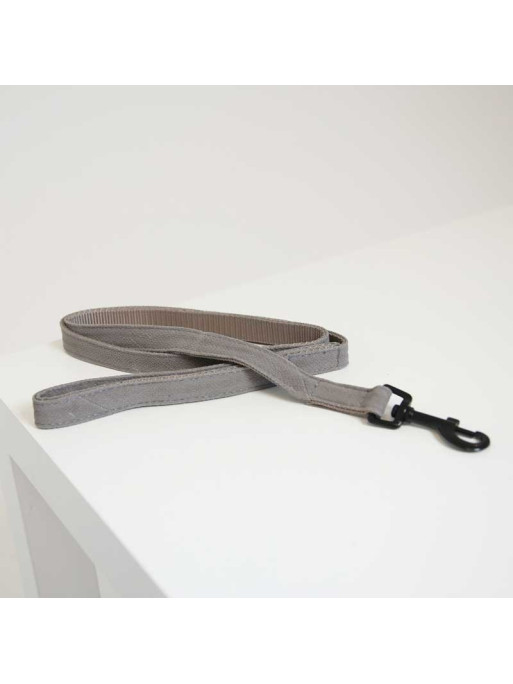 Laisse Lizard Kentucky