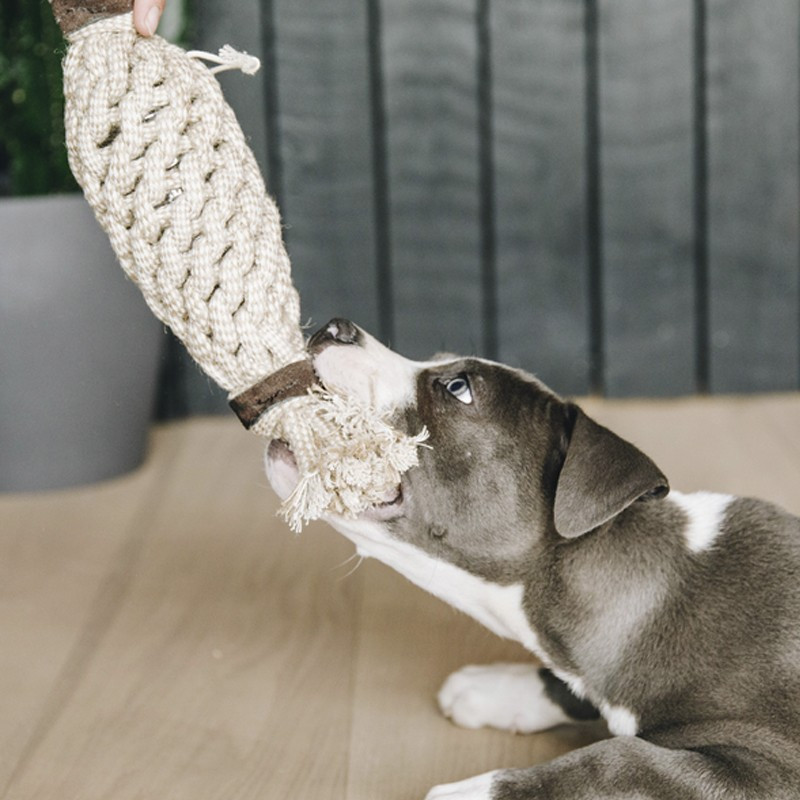 Jouet pour chien Cotton Rope Pineapple Kentucky