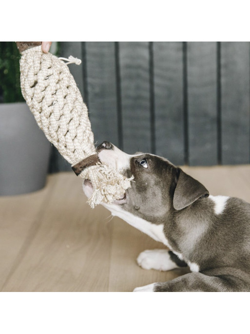 Jouet pour chien Cotton Rope Pineapple Kentucky