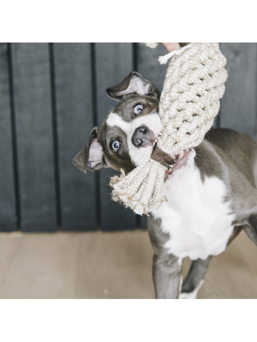 Jouet pour chien Cotton Rope Pineapple Kentucky