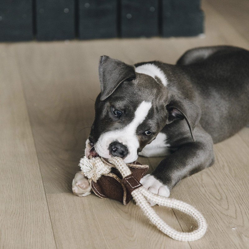 Jouet pour chien Cotton Rope Baseball Kentucky