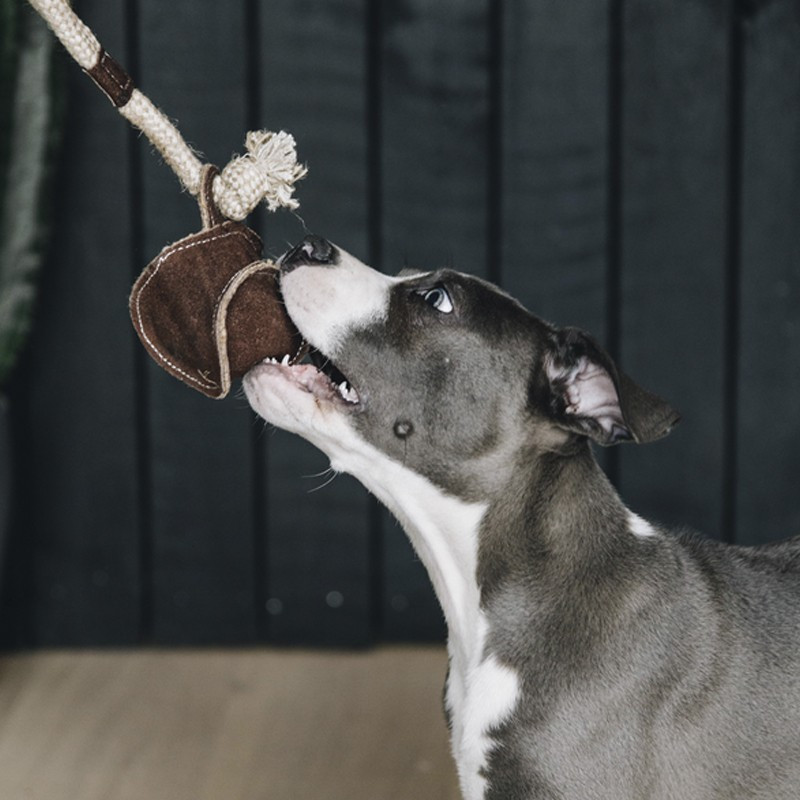 Jouet pour chien Cotton Rope Baseball Kentucky