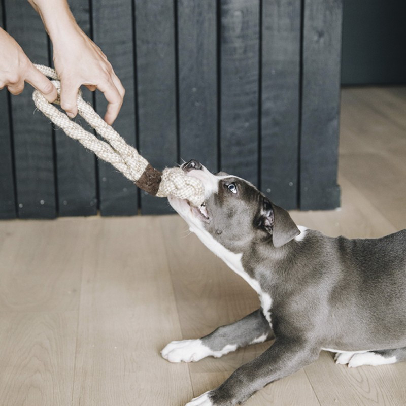 Jouet pour chien Cotton Rope 8-Loop Kentucky