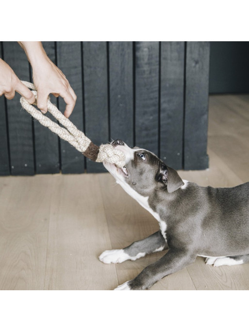 Jouet pour chien Cotton Rope 8-Loop Kentucky