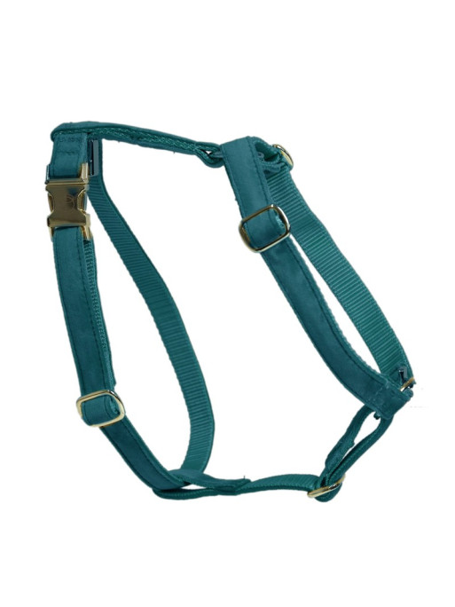 Harnais pour chien Loop Velvet Kentucky