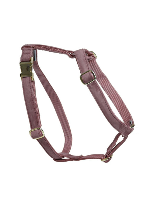 Harnais pour chien Loop Velvet Kentucky