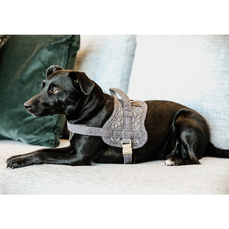 Harnais pour chien Body Safe Kentucky