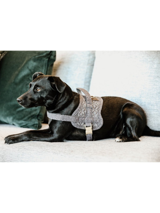 Harnais pour chien Body Safe Kentucky Harnais pour chien Body Safe Kentucky