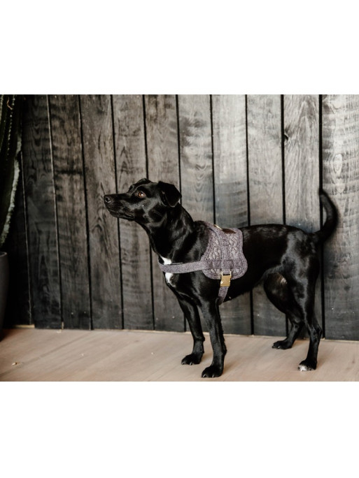 Harnais pour chien Body Safe Kentucky Harnais pour chien Body Safe Kentucky