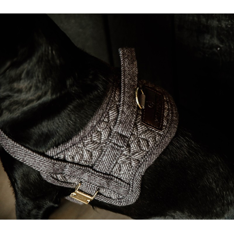 Harnais pour chien Body Safe Kentucky