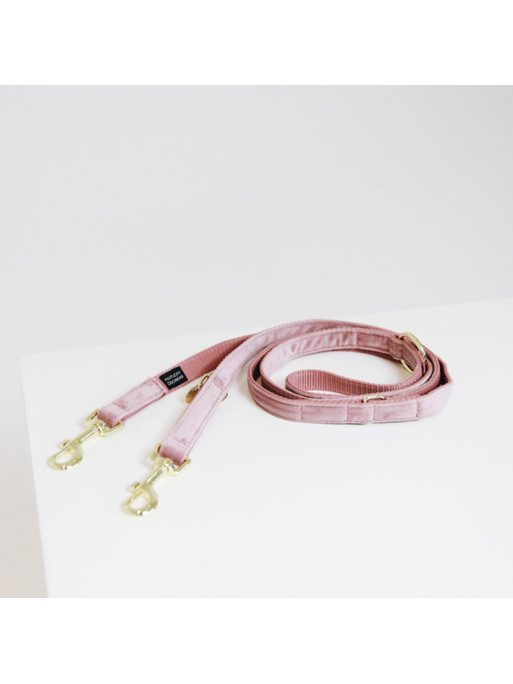 Laisse Velvet Velours Kentucky