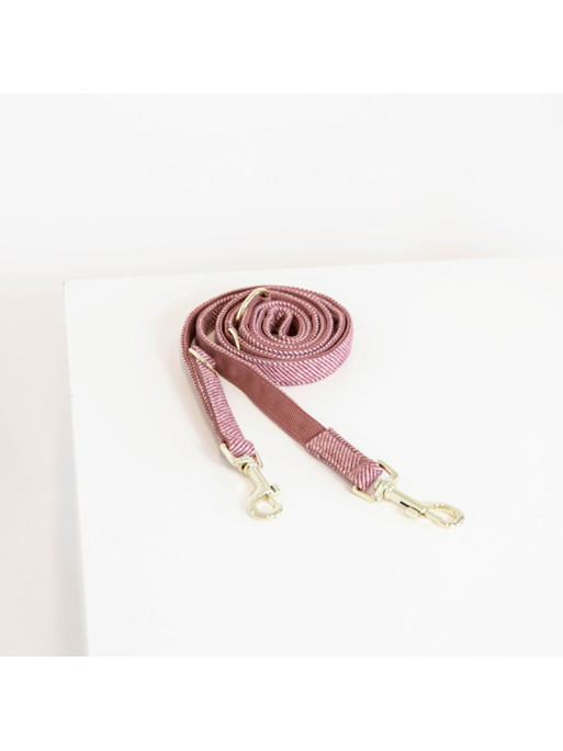Laisse pour chien Wool Kentucky