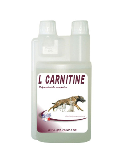 Complément alimentaire pour chien L-Cartinine Rekor