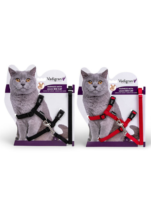 Harnais+Laisse Grand Chat Nylon Vadigran