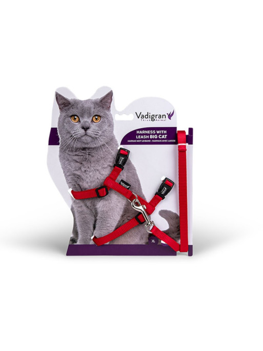 Harnais+Laisse Grand Chat Nylon Vadigran