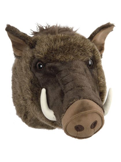 peluche sanglier sauvage Stock Photo