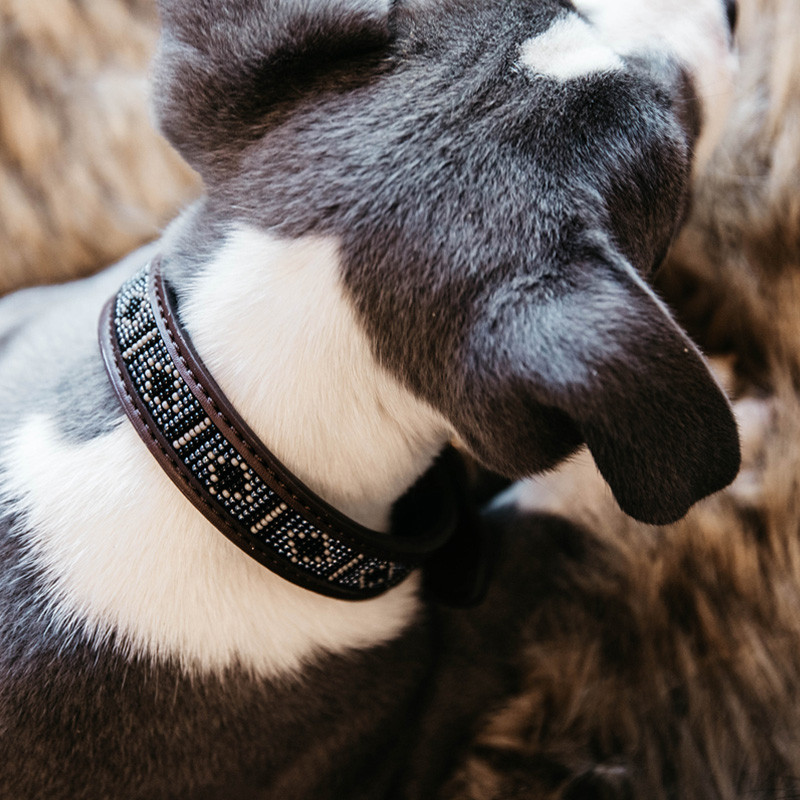 Collier pour chien perles faites main Kentucky