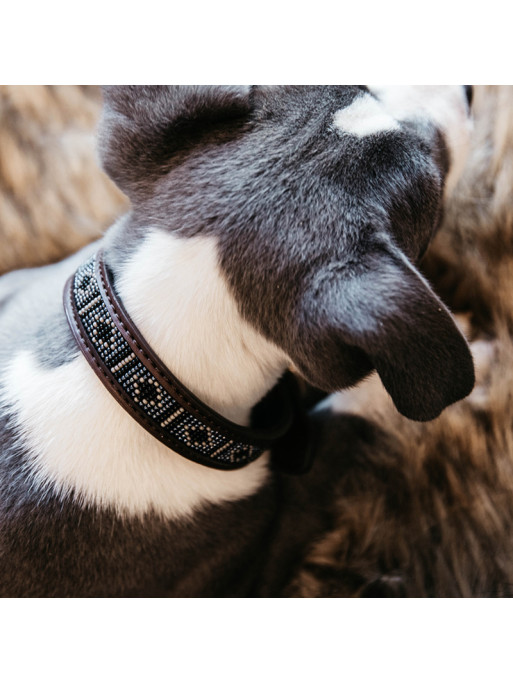 Collier pour chien perles faites main Kentucky Collier pour chien perles faites main Kentucky