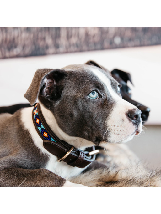 Collier pour chien perles faites main Kentucky Collier pour chien perles faites main Kentucky